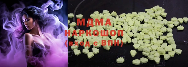 молекула духа Богданович