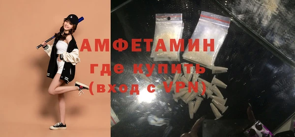 молекула духа Богданович