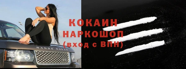 молекула духа Богданович