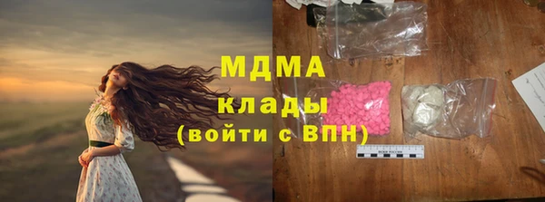 молекула духа Богданович