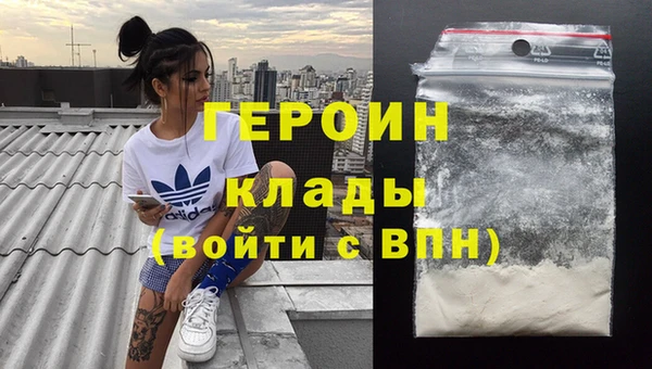 молекула духа Богданович
