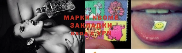 молекула духа Богданович