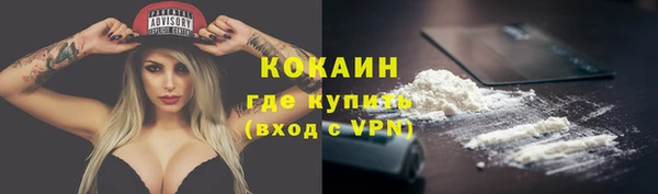 спиды Богородицк