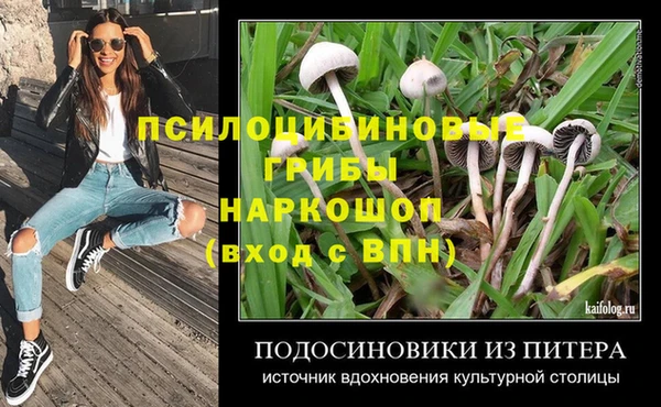 спиды Богородицк
