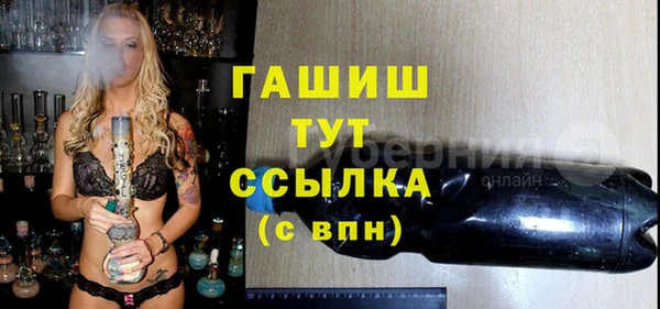 молекула духа Богданович
