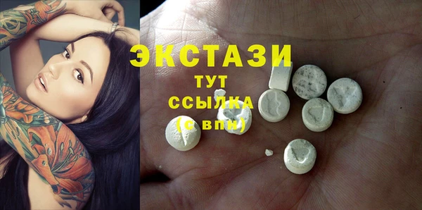 спиды Богородицк