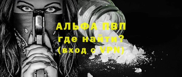 спиды Богородицк