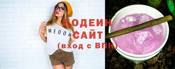 спиды Богородицк