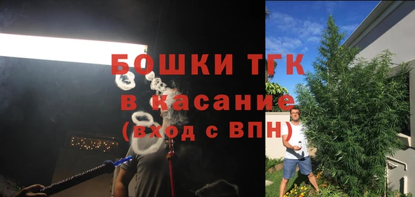 молекула духа Богданович