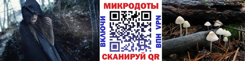 Псилоцибиновые грибы Cubensis  Электроугли 